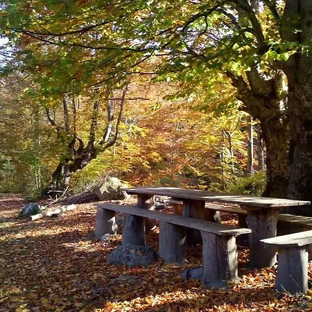 край реките * Априлци