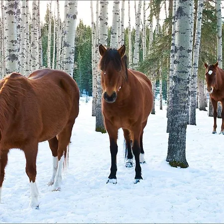 край реките Дом отдыха *